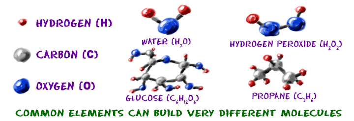 Common elements can build very different molecules.
