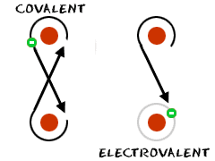 Electrons are involved in both covalent and ionic bonding