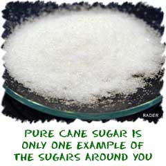 Pure cane sugar is only one example of the sugars around you
