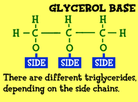 Glycerol molecules