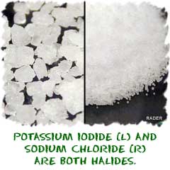 Sodium Chloride is a Halogen
