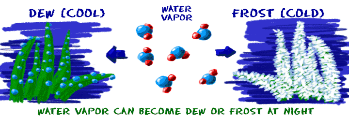 Water vapor can become dew (liquid) or frost (solid) at night.