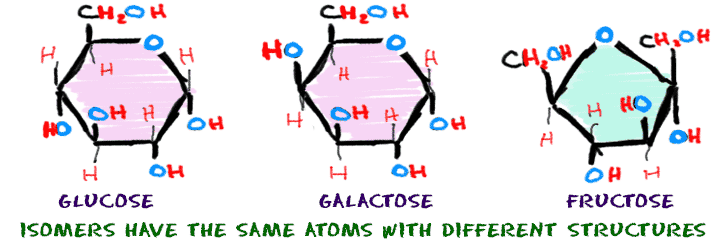 Isomers are compounds with the same number of atoms but have different structures. Glucose, galactose and fructose all have the formula C6H12O6.