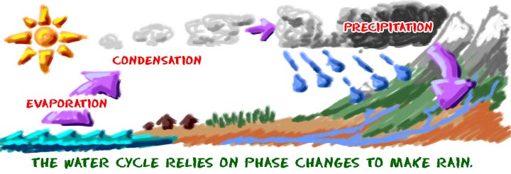The water cycle depends on phase changes to make rain.