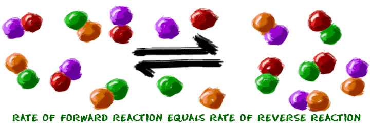 Rate of forward reaction equals rate of reverse reaction.