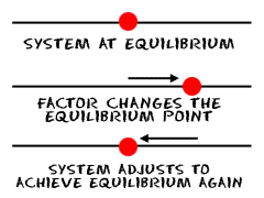 Forces affect equilibrium