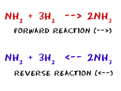 Forward and Reverse Reactions