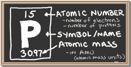 Chalkboard with description of periodic table notation for phosphorus.  There is a square with three values in it.  Top has atomic number, center has element symbol, and bottom has atomic mass value.  The atomic number equals number of protons and also the number of electrons in a neutral atom.  Atomic mass equals the mass of the entire atom.