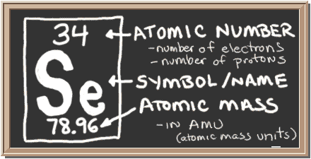 Chalkboard with description of periodic table notation for Selenium.  There is a square with three values in it.  Top has atomic number, center has element symbol, and bottom has atomic mass value.  The atomic number equals number of protons and also the number of electrons in a neutral atom.  Atomic mass equals the mass of the entire atom.